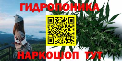 тгк Ипатово