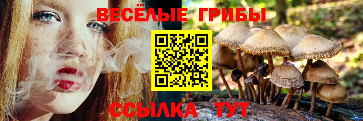 Псилоцибиновые грибы GOLDEN TEACHER Красногорск