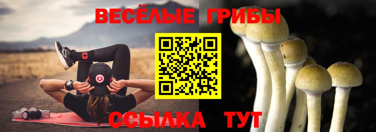 Псилоцибиновые грибы Magic Shrooms  Галлюциногенные грибы Psilocybe  Красногорск  хочу   Вход с VPN 